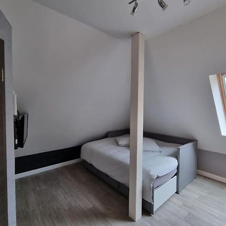 Studio De La Demi Lune Plobsheim Kültér fotó